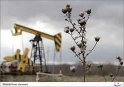 روسیه تولید نفت را 100 هزار بشکه کاهش داد