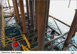 سهم 80 درصدی شرکت‎های ایرانی در ارائه خدمات دریایی به نفت فلات قاره