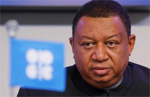 اوپک از اختلافات مصون خواهد بود